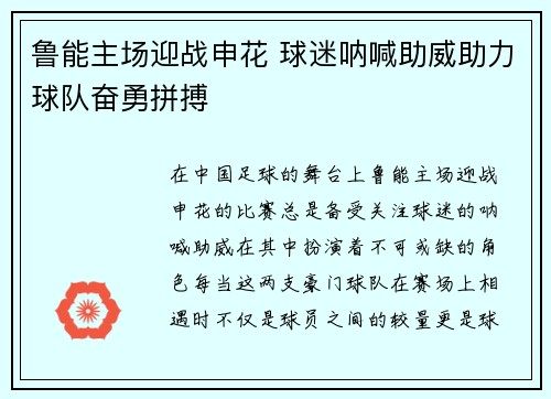 鲁能主场迎战申花 球迷呐喊助威助力球队奋勇拼搏