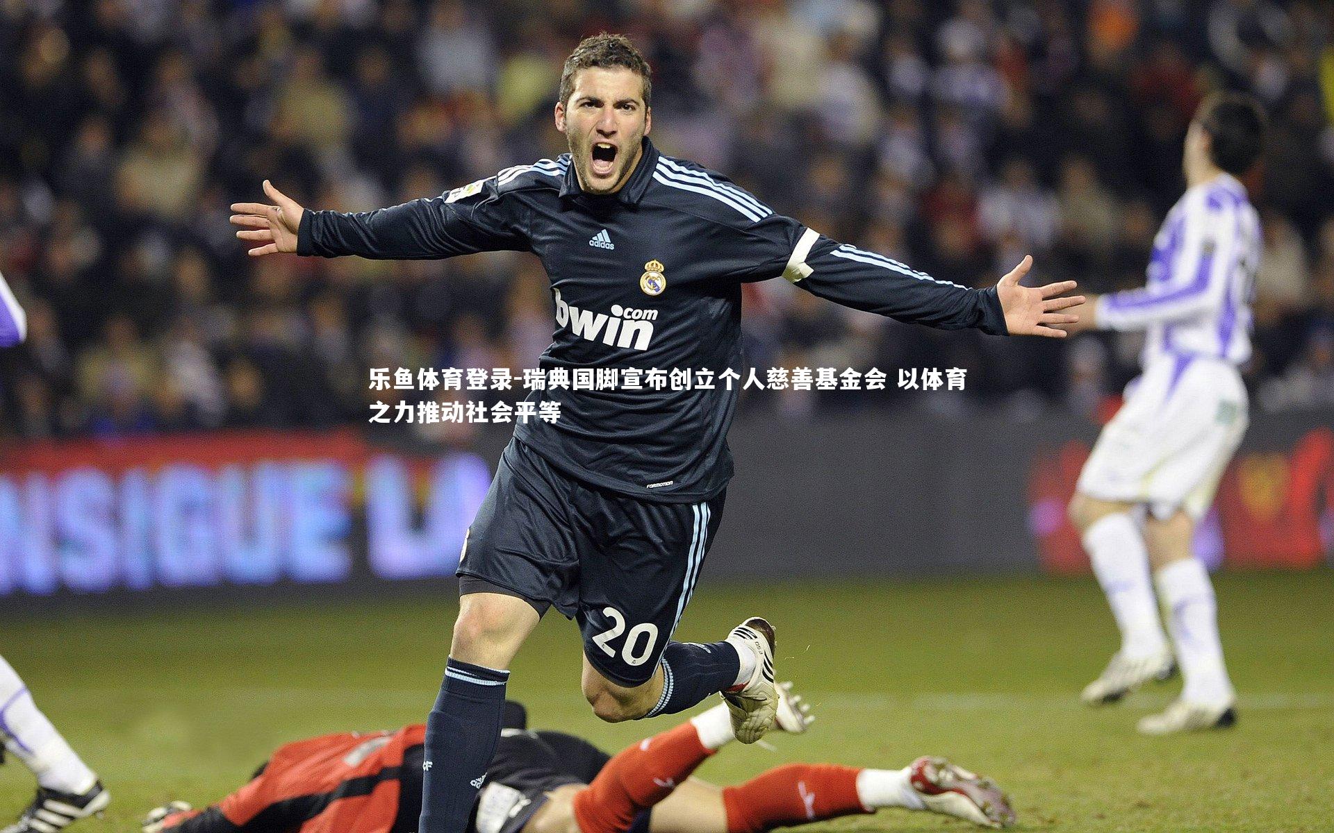 乐鱼体育登录-瑞典国脚宣布创立个人慈善基金会 以体育之力推动社会平等