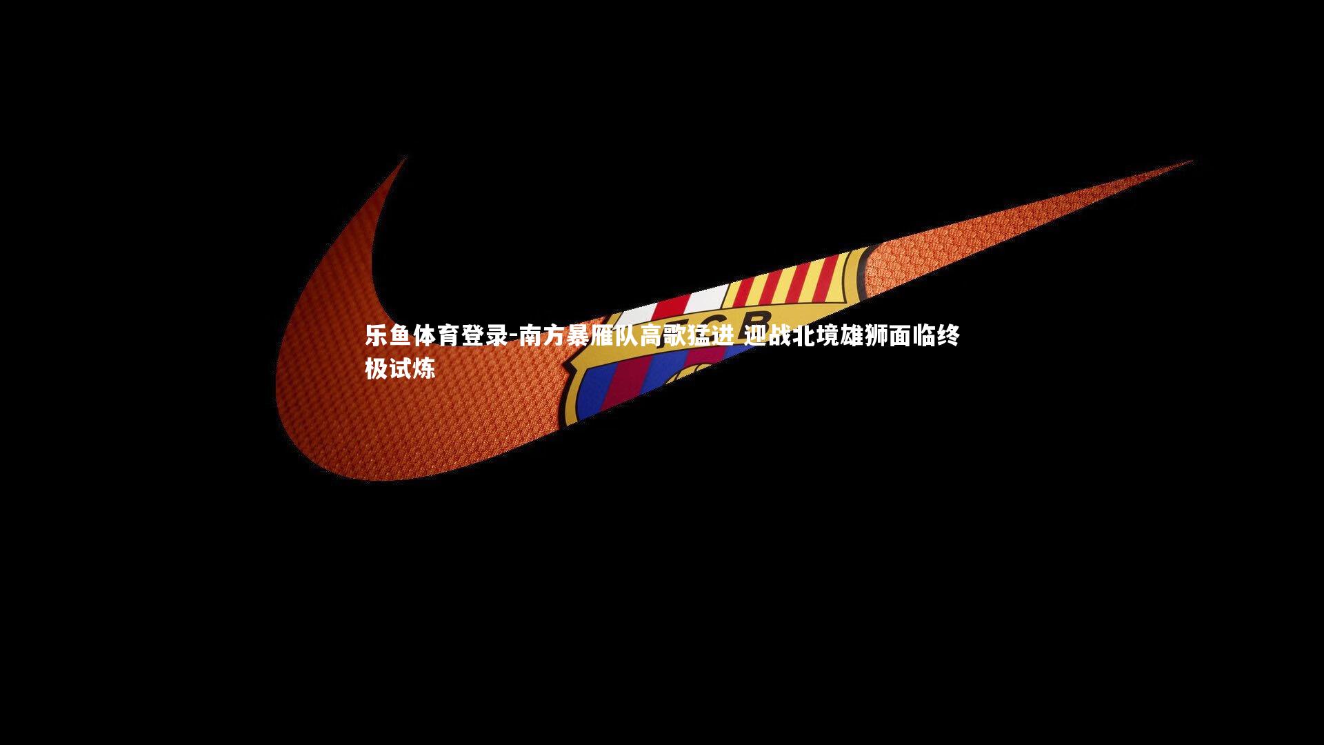 乐鱼体育登录-南方暴雁队高歌猛进 迎战北境雄狮面临终极试炼